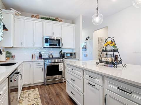 2750 Purple Meadow Court, Minneola FL - photo 19 of 59