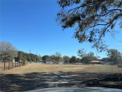 7647 Shannon Lane, Zephyrhills FL - photo 14 of 34
