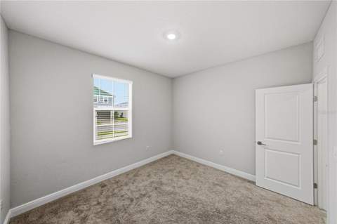 12253 Cattleside Drive, Riverview FL - photo 10 of 59