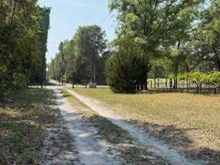 4760 NW 55th Avenue, Bell FL - photo 12 of 44
