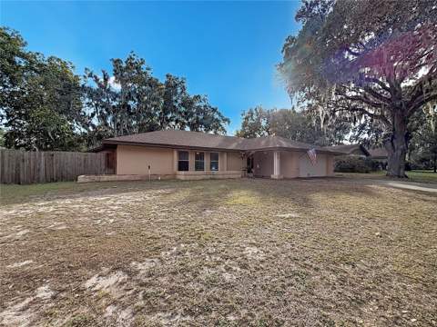 209 First Street, Tavares FL - photo 22 of 29