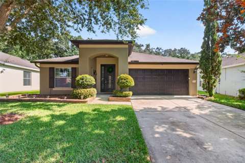1234 Hill Flower Drive, home for sale in Brooksville 34604