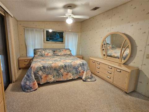 101 Dolphin Drive, Oldsmar FL - photo 19 of 34