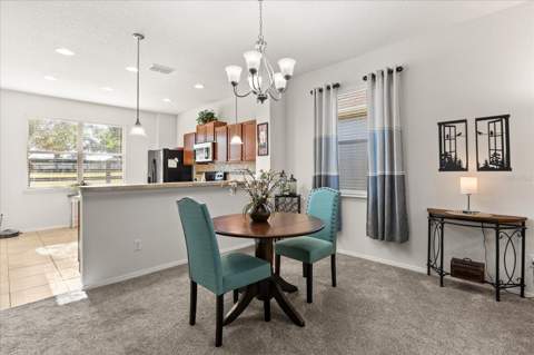 22024 Belgian Court, Mount Dora FL - photo 13 of 31