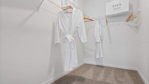 3061 House Finch Road, St Cloud FL - photo 13 of 54