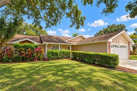 3066 Esplanade Drive, New Port Richey FL - photo 6 of 6