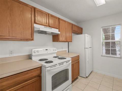 217 Penmark Stone Place, Valrico FL - photo 12 of 30