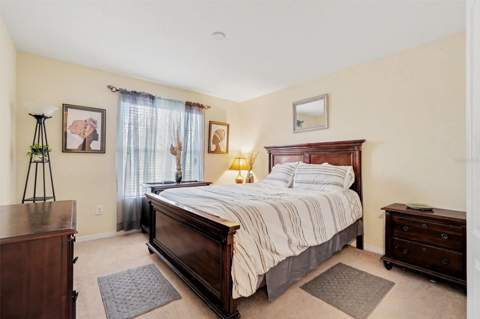 20443 Autumn Fern Avenue, Tampa FL - photo 22 of 30