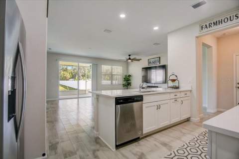 10916 Quickwater Court, Riverview FL - photo 8 of 42