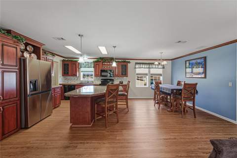 37519 Corey Lewis Avenue, Zephyrhills FL - photo 16 of 49