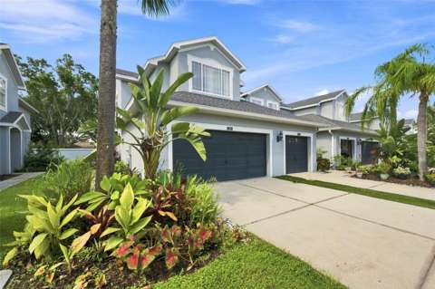 6030 Parkside Meadow Drive, home for sale in Tampa 33625