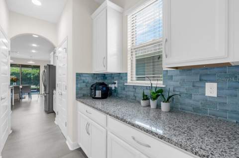 15512 Fountain Cove Court, Winter Garden FL - photo 8 of 55