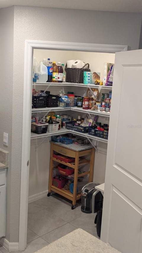 3719 Capri Coast Drive, Plant City FL - photo 8 of 46