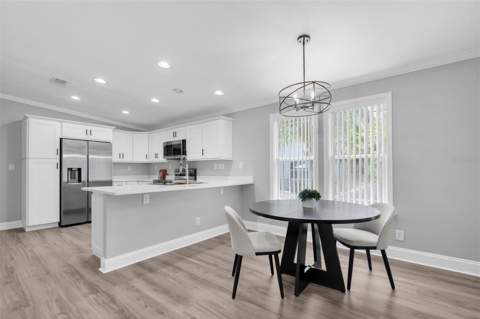 508 Washington Avenue, Oldsmar FL - photo 13 of 50