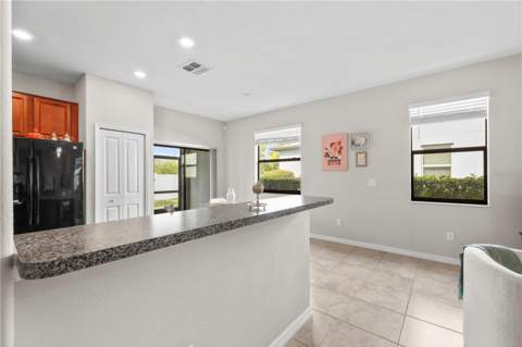 7667 Ginger Lily Court, Tampa FL - photo 15 of 62