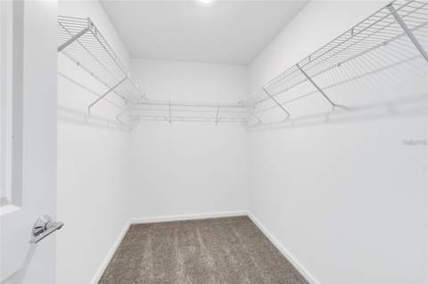 10540 Tribute Drive, Winter Garden FL - photo 16 of 33