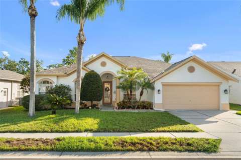 12213 Roseland Drive, home for sale in New Port Richey 34654