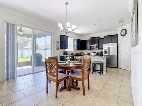 1553 Caterpillar Street, St Cloud FL - photo 6 of 35