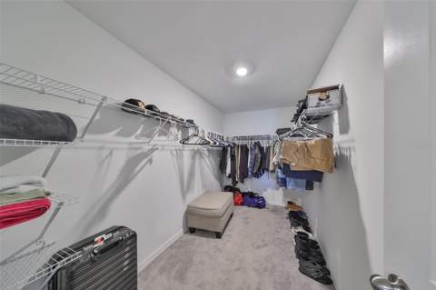 9316 Channing Hill Drive, Ruskin FL - photo 22 of 43