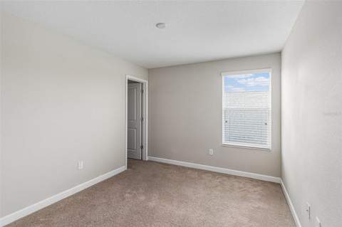 11755 Winterset Cove Drive, Riverview FL - photo 19 of 24