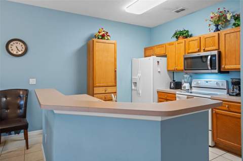 3015 Yellow Lantana Lane, Kissimmee FL - photo 8 of 54
