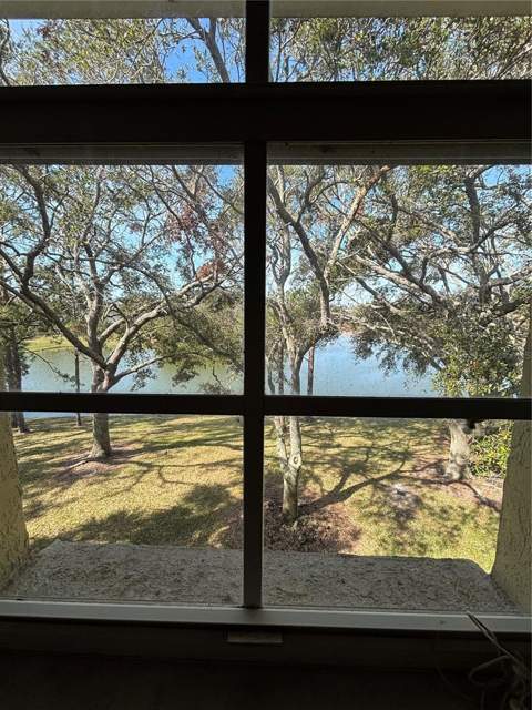 2690 Coral Landings Boulevard #538, Palm Harbor FL - photo 10 of 16