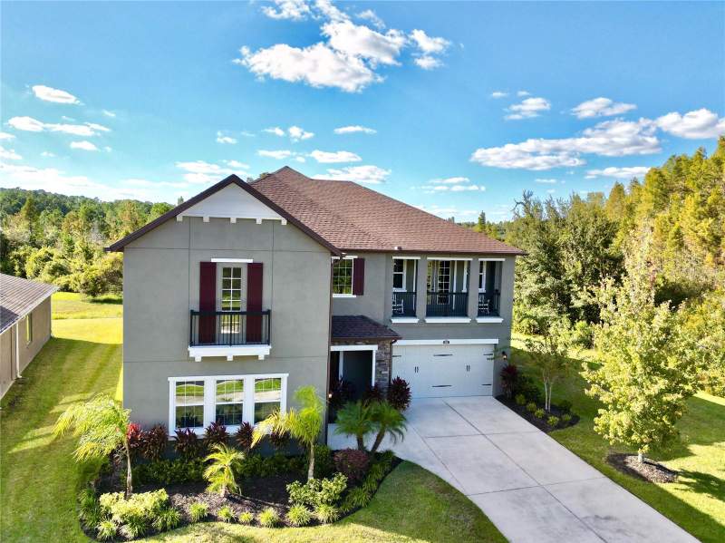 Meadow PointeHomes for Sale in Wesley Chapel, FL