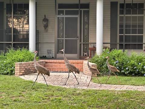 9238 Fort King Road, Dade City FL - photo 9 of 69