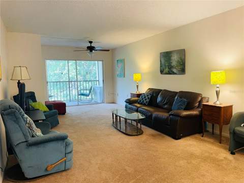 840 Virginia Street #303, Dunedin FL - photo 8 of 25