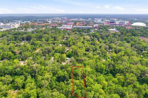 1732 NW 8th Avenue, Gainesville FL - photo 12 of 65