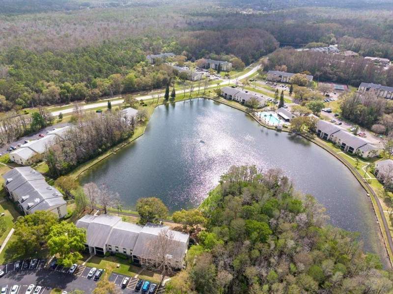 2 bedroom Condominium at 3101 Lake Pine Way #A1, Pine Ridge At Lake Tarpon Village, Tarpon Springs — photo 3