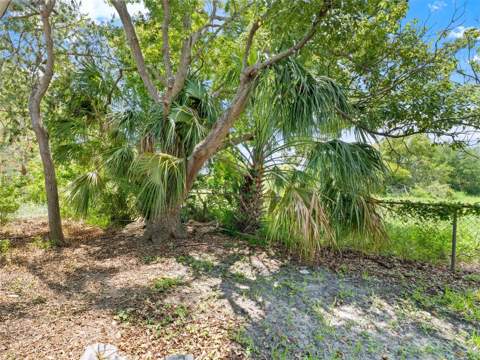 4237 Redcliff Place #-, New Port Richey FL - photo 14 of 25