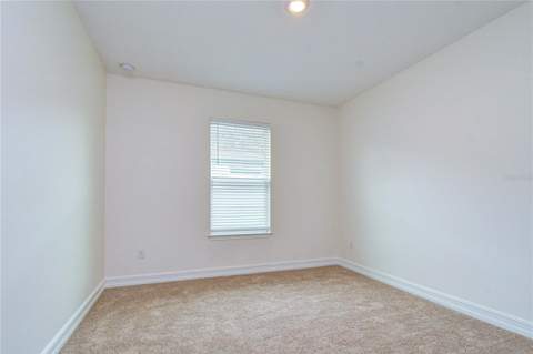 4749 Rolling Green Drive, Wesley Chapel FL - photo 23 of 35