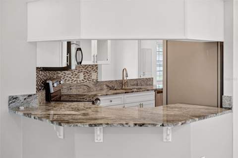615 Juniper Way, Tavares FL - photo 22 of 70