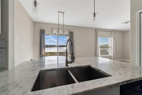 4410 Summer Savory Street, Tampa FL - photo 9 of 64