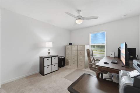 1255 Wispy Cypress Drive, Kissimmee FL - photo 24 of 39