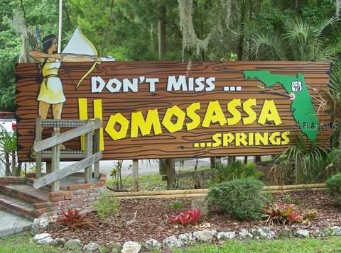 10 Asters Court, Homosassa FL - photo 24 of 26
