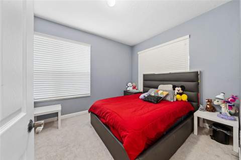2680 Dolfino Court, St Cloud FL - photo 16 of 29