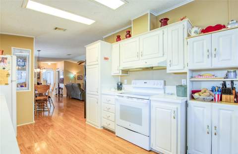258 Pelican Drive, Oldsmar FL - photo 7 of 51