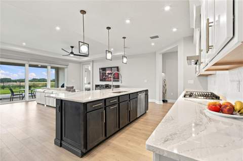 1725 Point Grace Road, Tavares FL - photo 13 of 62