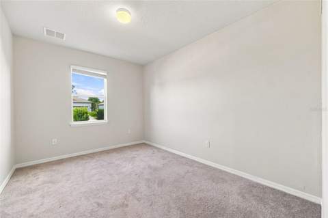 18359 Cortes Creek Boulevard, Spring Hill FL - photo 23 of 59