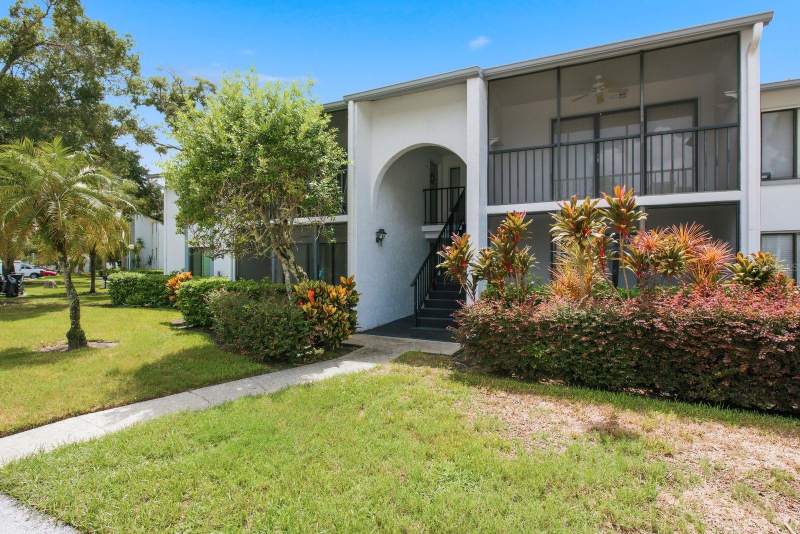 Pine Ridge At Lake Tarpon Village