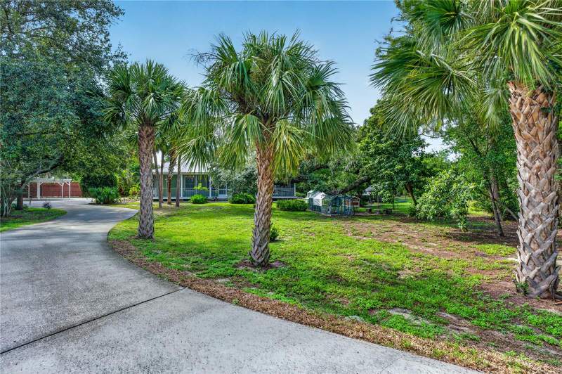 4 bedroom Single Family Residence at 207 N Levis Avenue, Tarpon Springs Official Map, Tarpon Springs — photo 5