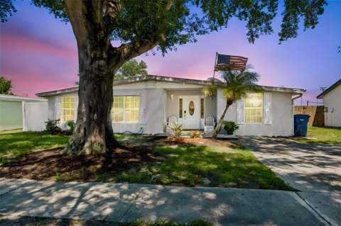 6330 S Renellie Court, home for sale in Tampa 33616