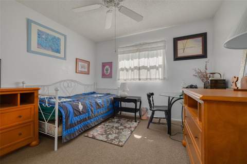 1338 Greenlea Drive, Holiday FL - photo 20 of 31