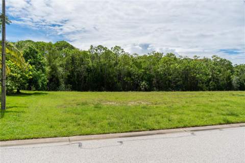 4050 Jewfish Drive, Hudson FL - photo 14 of 37