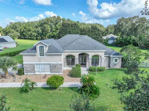 25013 Derby Drive, home for sale in Sorrento 32776
