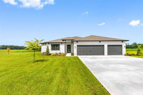 13483 Lake Gallagher Drive, home for sale in Dover 33527