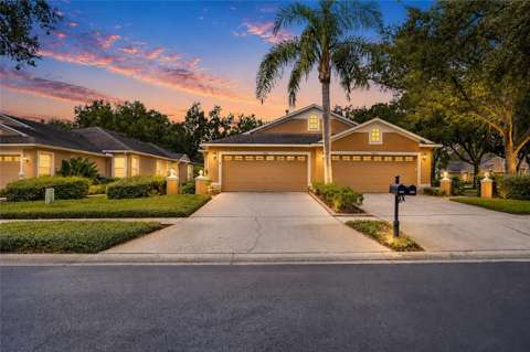 19126 White Wing Place, home for sale in Tampa 33647