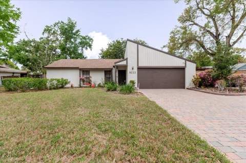 8222 La Serena Drive, Tampa FL - photo 6 of 6